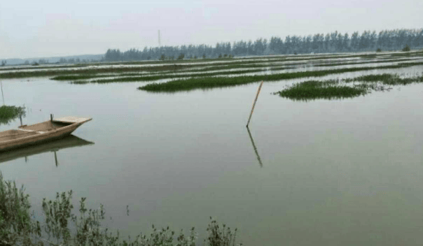 小龙虾塘解毒2天后可以改底吗小龙虾池塘养殖技术要点纯干货