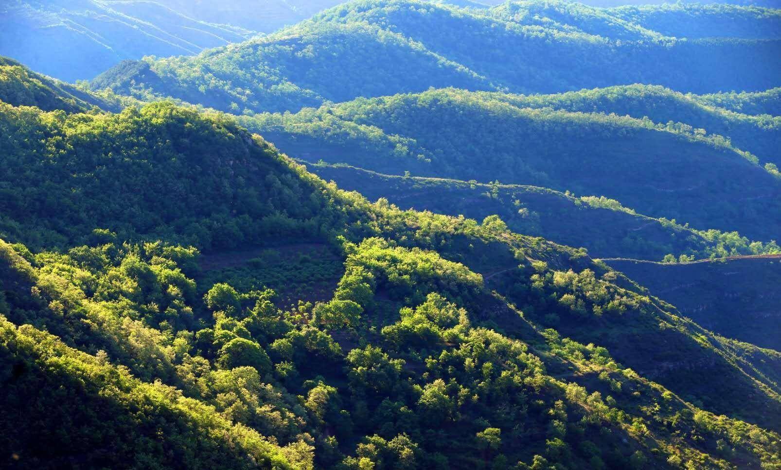 苦熬300年秦国终于拿到房本没想到摊上了个厉害的邻居