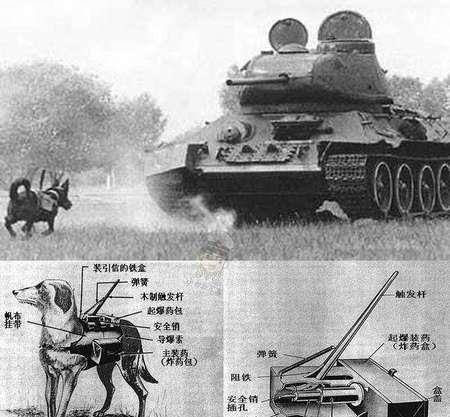 盘点二战期间世界各国的奇葩武器没有最奇葩只有更奇葩