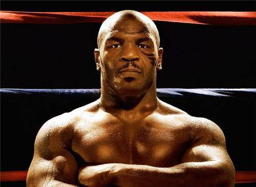 原创泰森巅峰时期有多刚贿赂饲养员100000美元试图挑战银背大猩猩