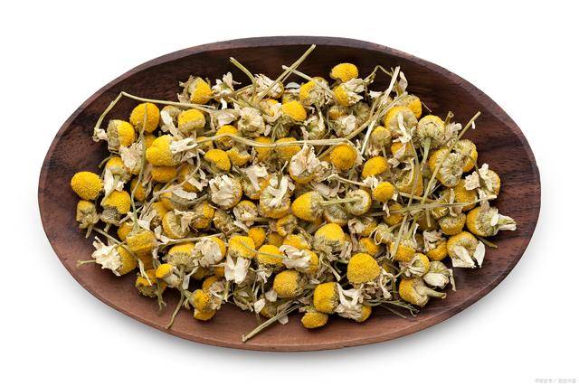 胎菊,又称甘菊,亦名小胎皇_的作用_开水_花蕾