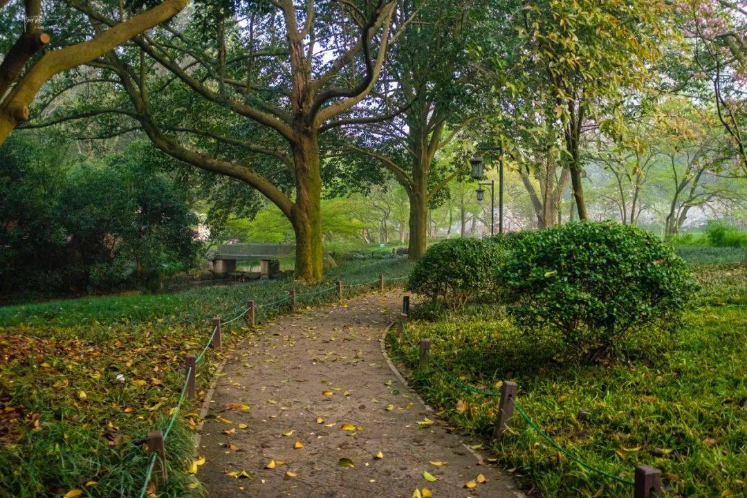 原创太子湾的风景很美难得去一趟却深感商业味重了环境也不如从前