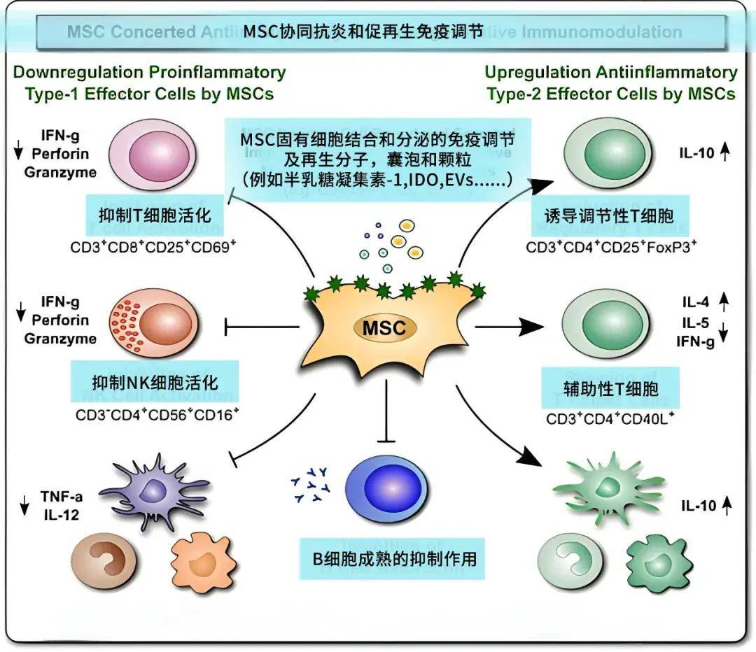 换季过敏大作战这份干细胞指南或许可以帮助你