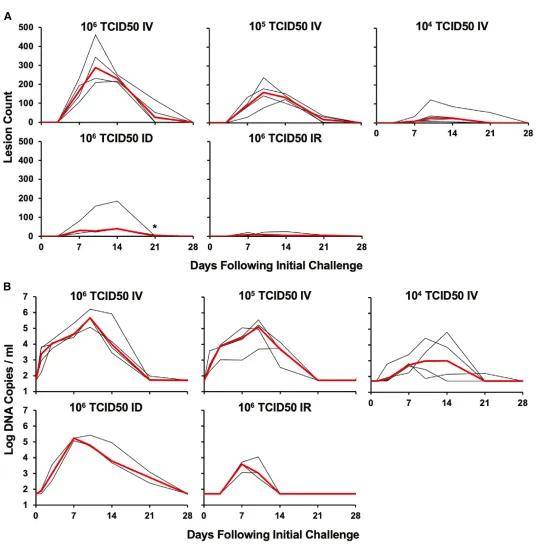 通过实时 pcr (rt-pcr) 在病毒感染后检测猴痘疫苗病毒基因 (f3)