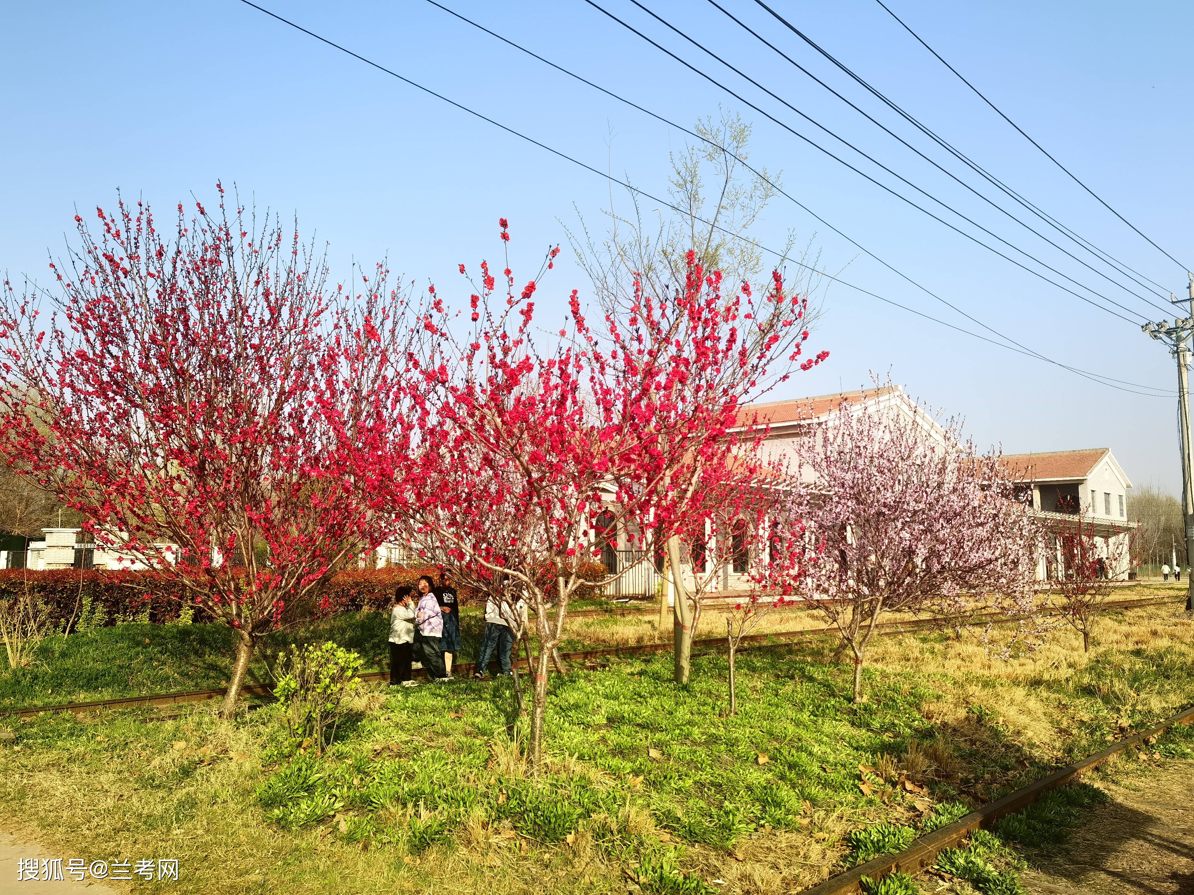 兰考黄河湾风景区门票图片