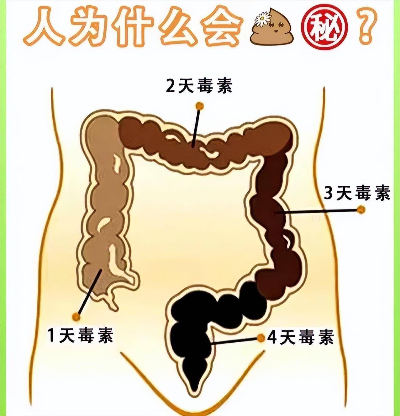 想要告别不解之痛,拥抱通畅人生?先了解下这些肠识