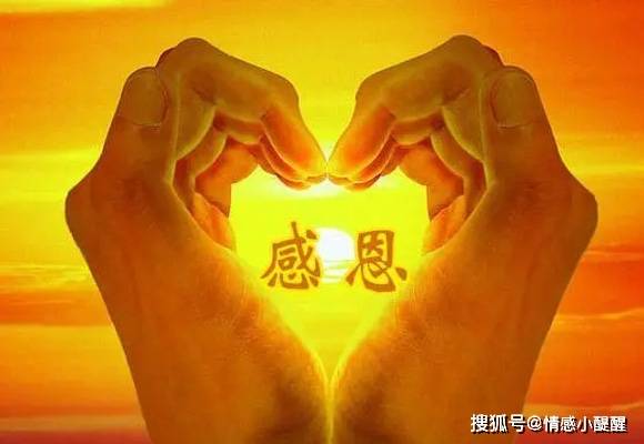 感恩之心温暖如春铭记这4句最打动人心的句子