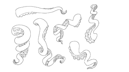 【绘屏教育】章鱼触手怎么画？教你画触手的简单技巧！(图13)