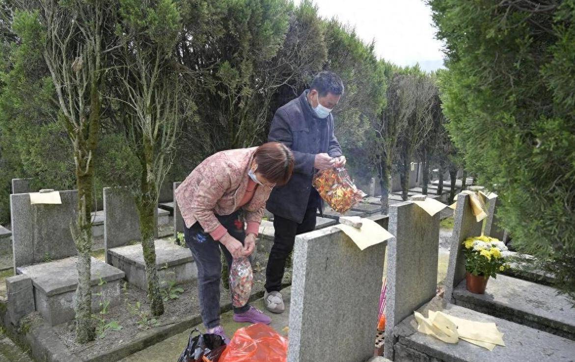 清明时节雨纷纷路上行人欲断魂清明节为什么去扫墓答案来了