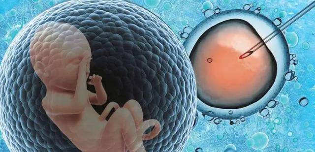 失独母亲56岁再育双胞胎为了两个孩子我想活到100岁