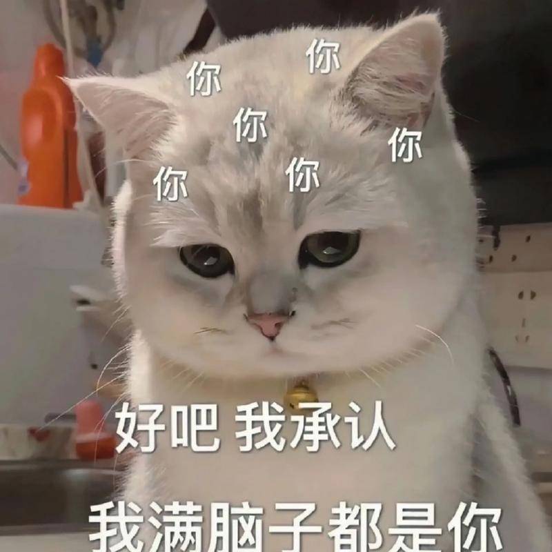 原创笑话十条如何用一句话形容自己读过四大名著