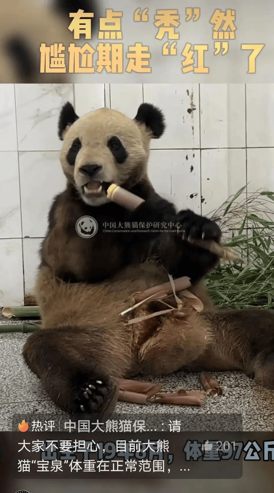 猫咪叼老鼠给主人这是在报恩吗真相和你想的不一样
