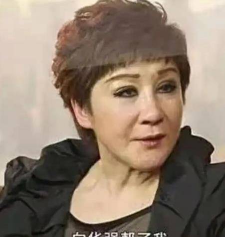 丁佩:与向华强结婚有泪水有欢乐,分手后依然是一家人