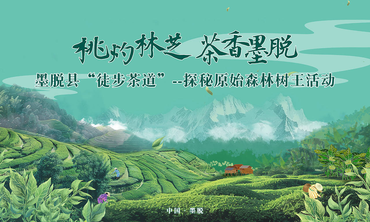 桃灼林芝茶香墨脱墨脱县徒步茶道探秘原始森林树王活动宣传大使来袭