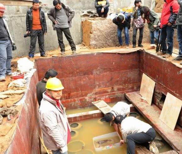 四川发现汉代古墓出土一本失传古籍被确定是扁鹊医书