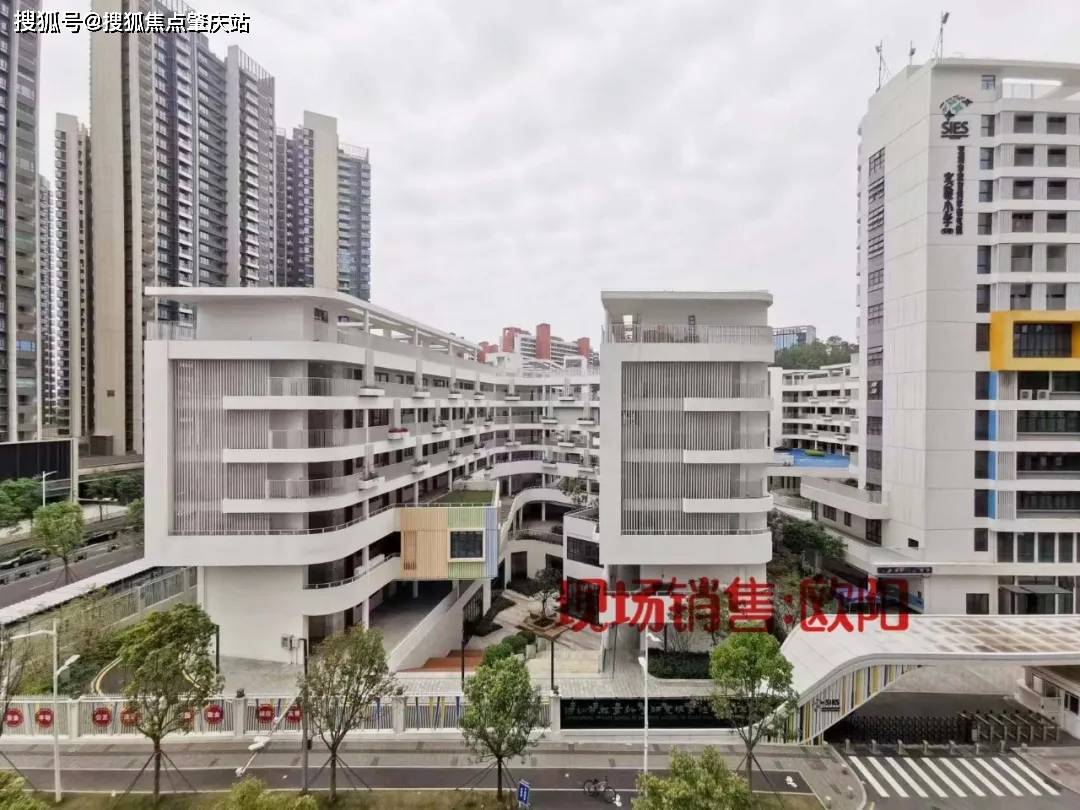 主管部门及办学方颁布的最新政策规定为准)高中:深圳市光明区高级中学