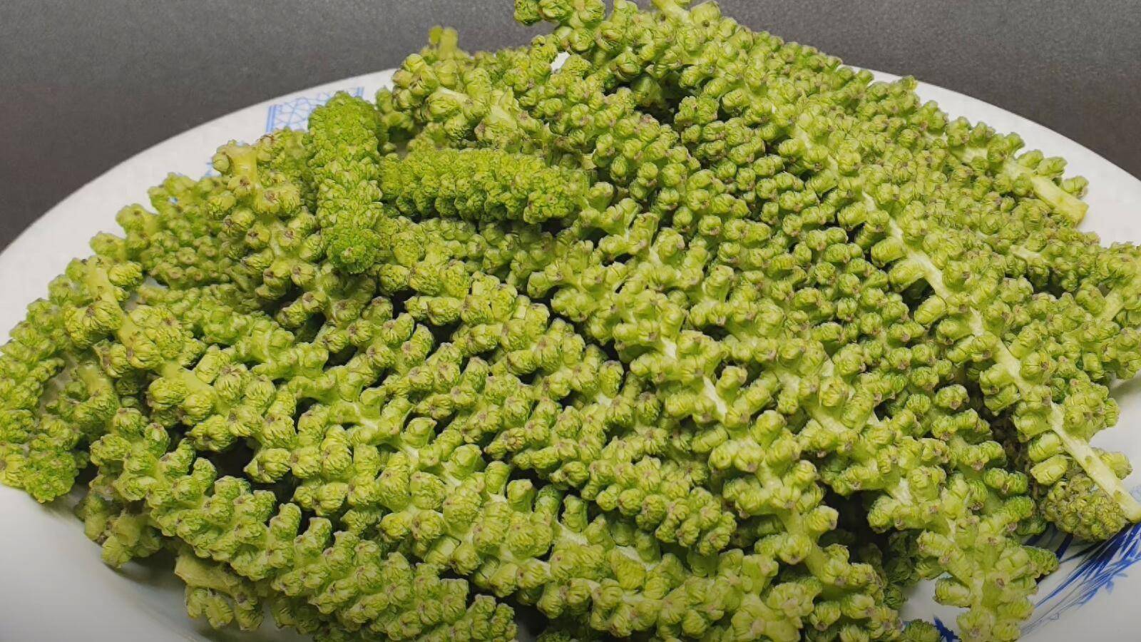 天然长寿菜原来是它一补脑二防便秘三降三高可没人懂