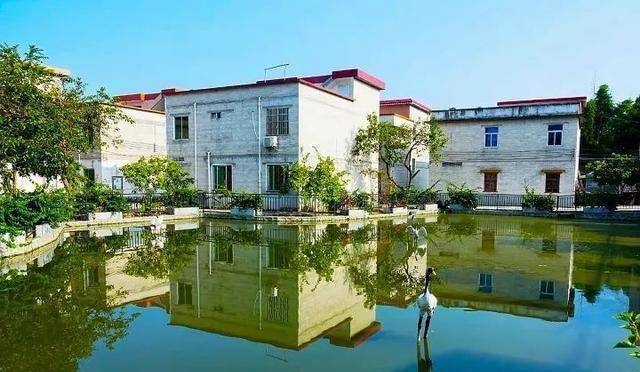 安排上了这个五一带你玩转肇庆美丽乡村