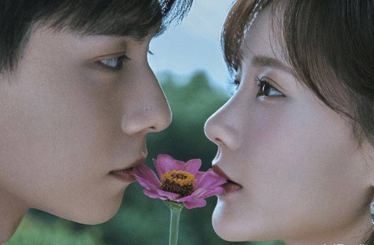 李一桐_王安宇_李现