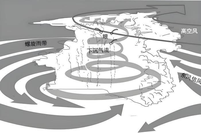 风能利用大赛侧风作品图片