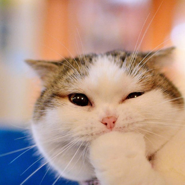 原创开心一刻不好意思吐的太用力把你家马桶吐掉了