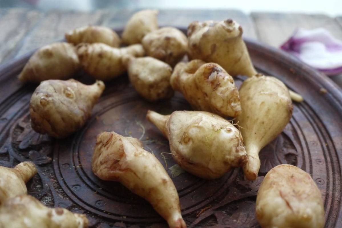 这个腌菜越吃越健康,降血脂降血糖,很多人10斤10斤的买回家腌_洋姜