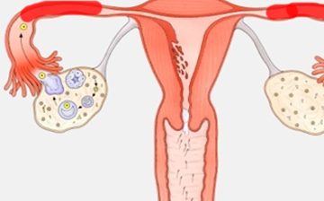 原创女人每天坚持吃点它不发胖不早衰排毒气色好妇科炎症不来找