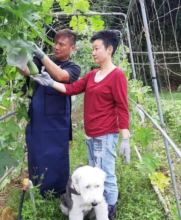 他出道40年演技丝毫不逊色胡歌为什么总是不温不火