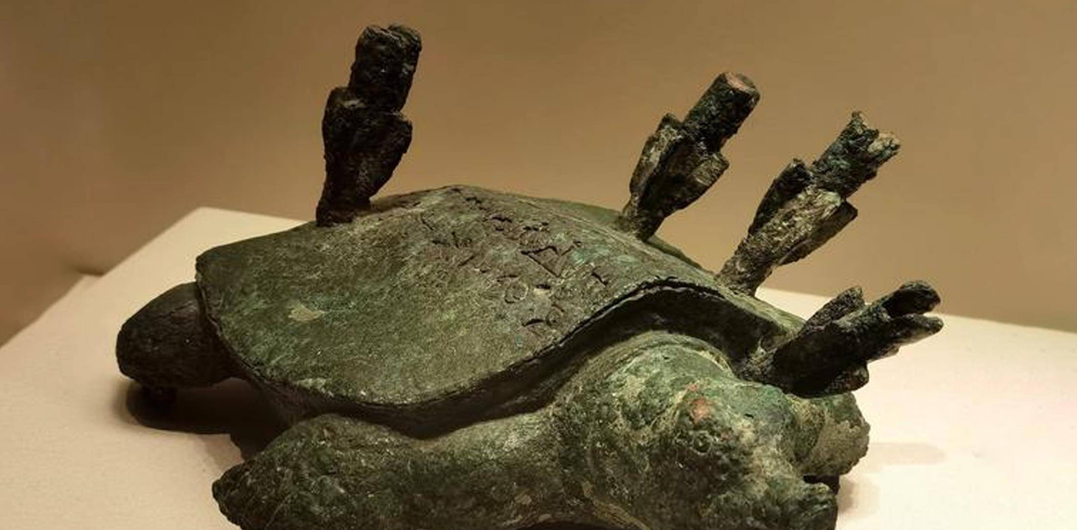 原创2003年河南老人意外钓到一只怪龟专家鉴定后表示价值18亿