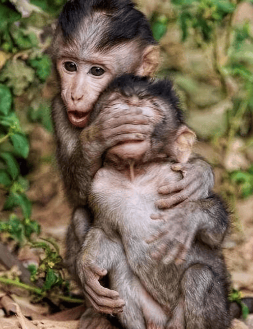 15张让人叹为观止的超神抓拍哪怕是晚一秒都无法拍到的相片