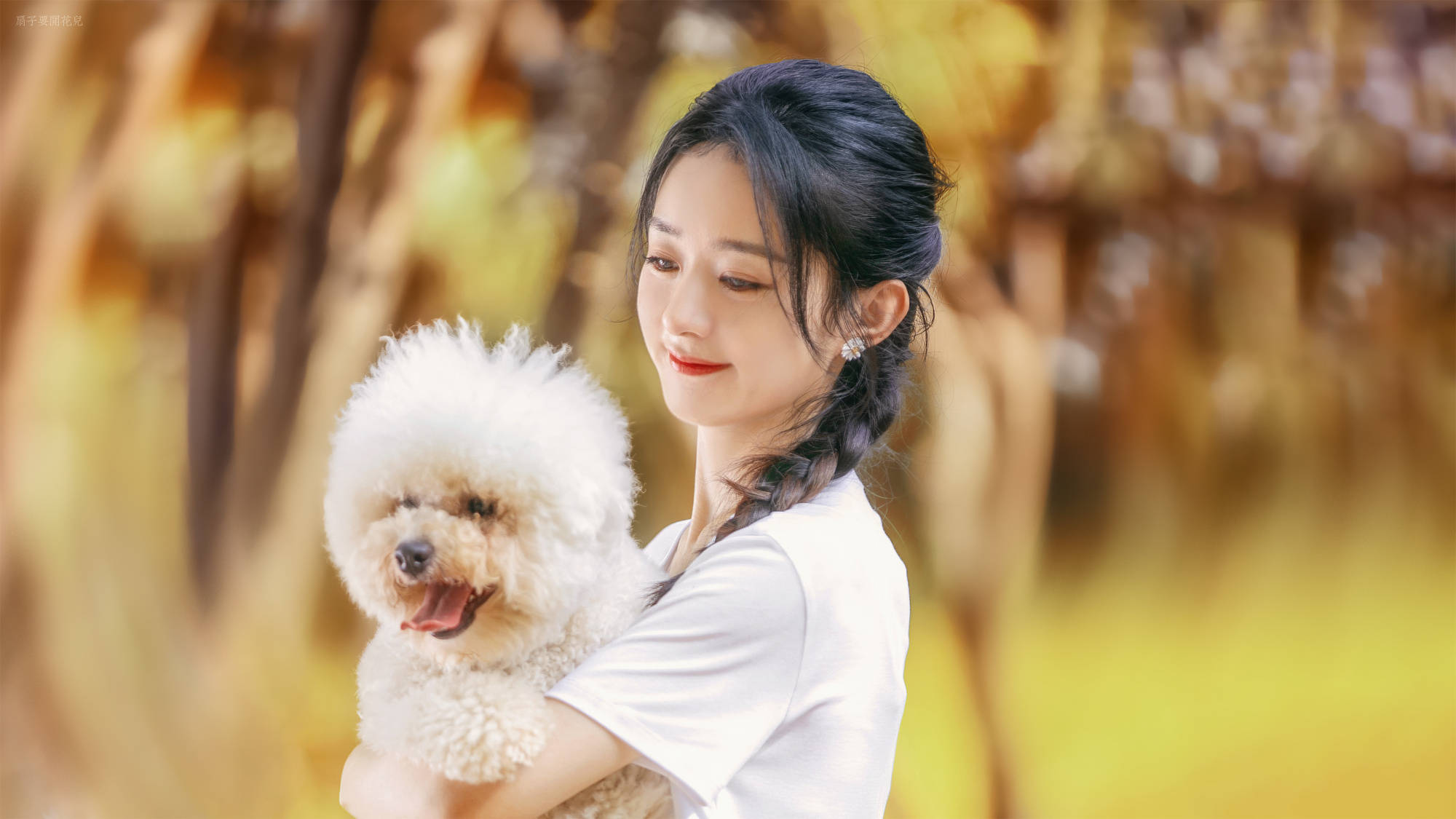 原创娱乐点评赵丽颖李现蔡徐坤白鹿黄晓明王阳