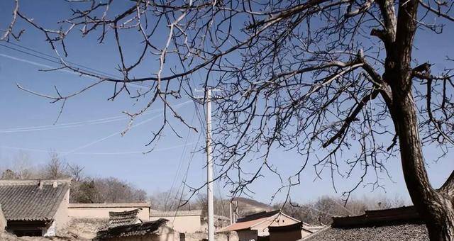 原创1999年李青海蛰伏10年手刃亲叔一家11口与警方对峙