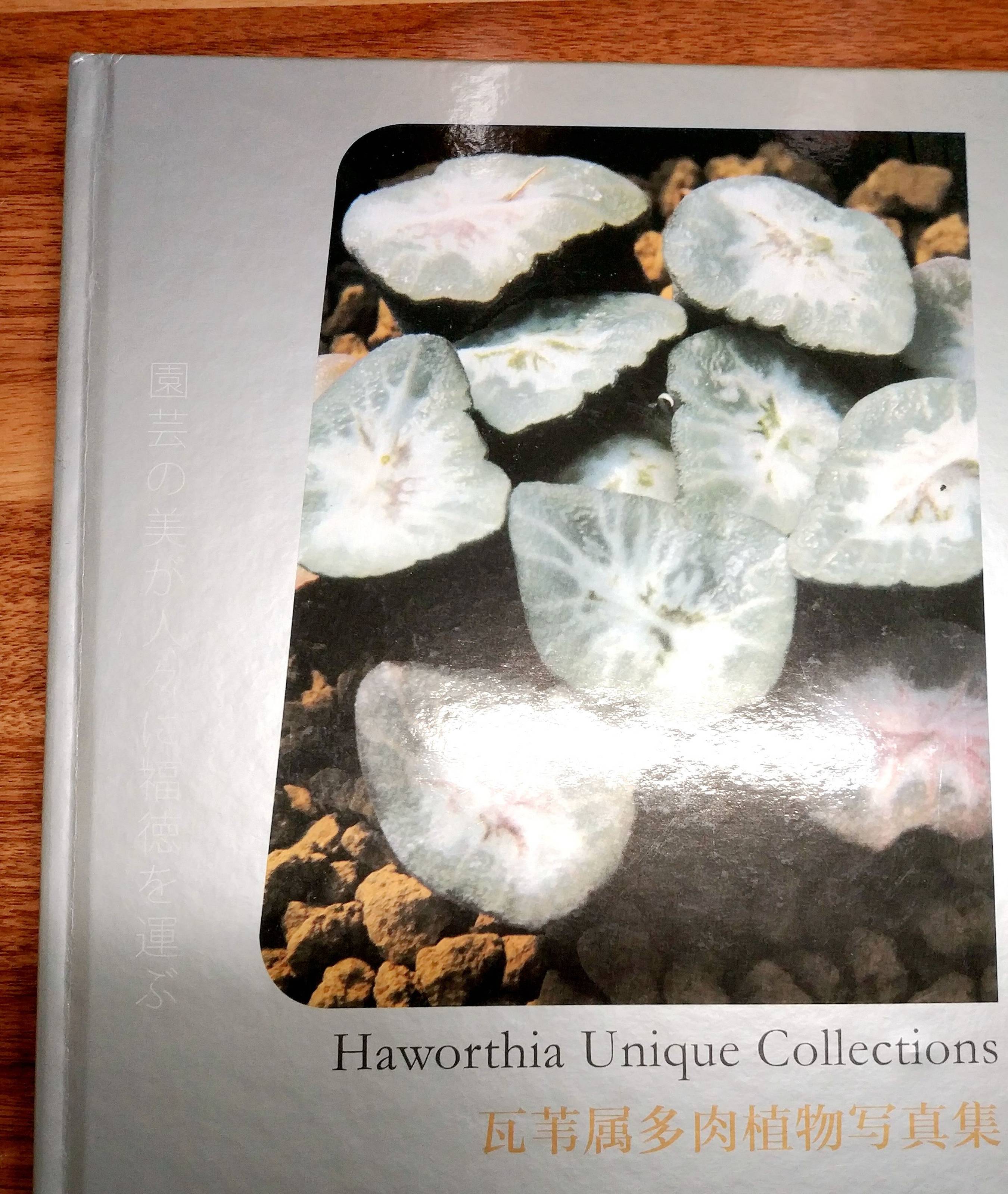 中国顶级的多肉植物从业者,上海西萍园艺主编,知名的多肉大神,南开