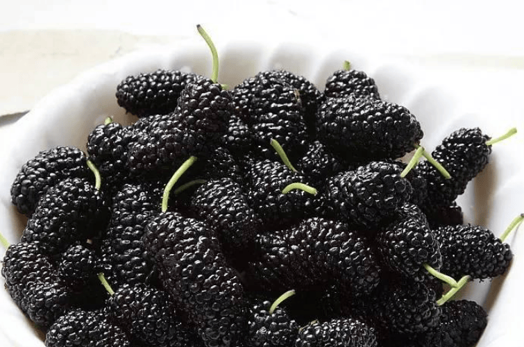 桑葚原浆哪个牌子的好用又便宜寻找那份物美价廉的味蕾盛宴