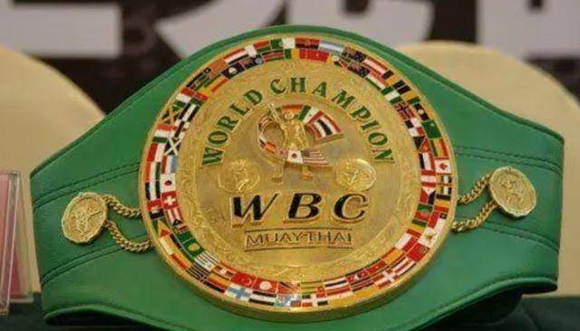 原创一代拳王因沉迷温柔乡被韩国老婆榨光千万家产金腰带也被偷走