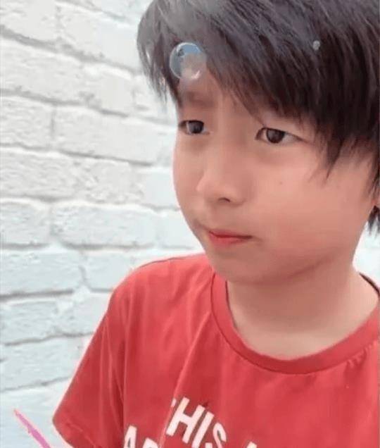 原创张柏芝罕见晒儿子帅照二儿子颜值超高像极了父亲谢霆锋