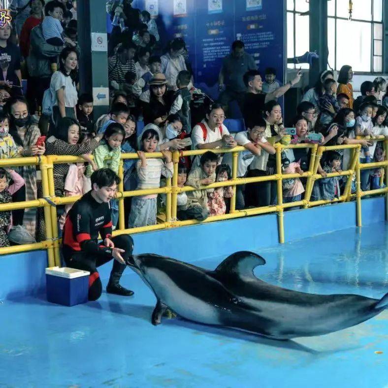 清明小长假,澄江热门景区人气正旺!