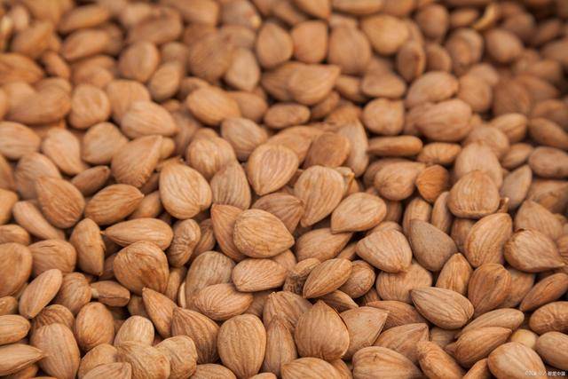 阿富汗苦杏仁进口报关及清关手续跟操作流程