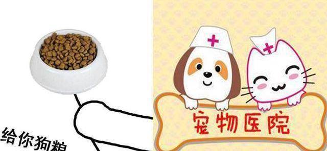 原创城里能不能养狗狗肉能不能吃爱狗人士请理智