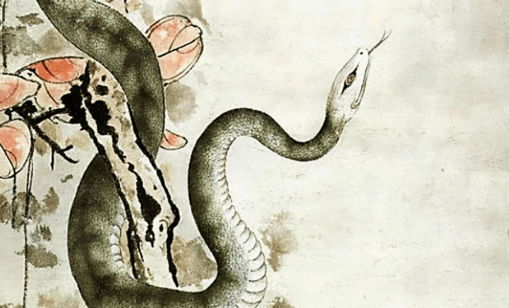 眼镜王蛇窝?海南一村子发现多条!以毒蛇为食,追人跑,?