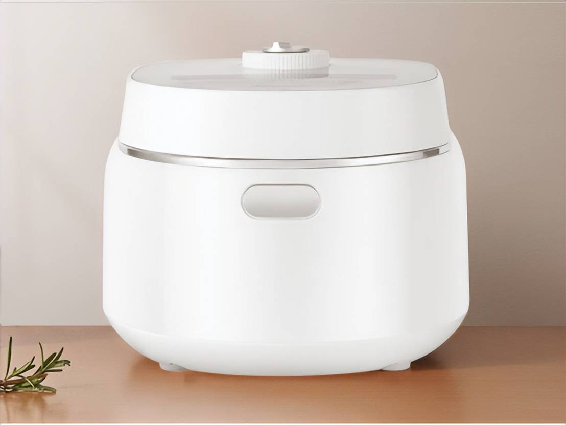 十大网红电饭煲品牌排行5000字盘点十款高人气单品