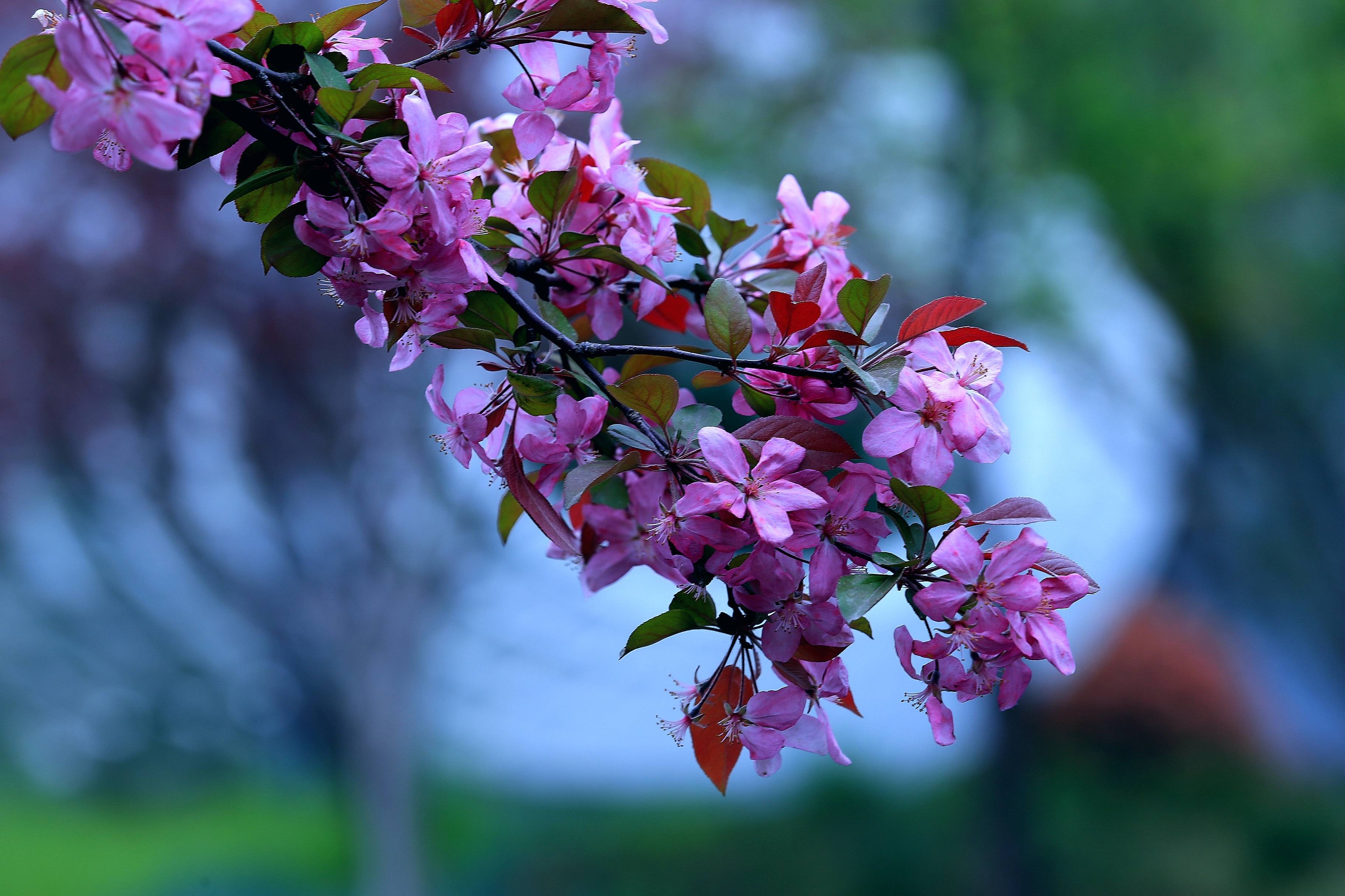 生日自省乐怀居旭峰诗词