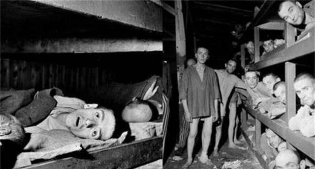 着无数从焚尸炉里飘出来的骨灰,那是格蕾泽和门格尔共同犯下的杀孽