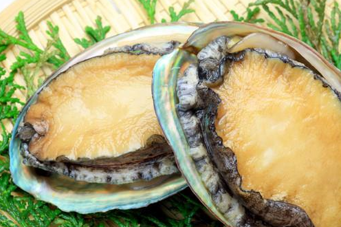 鲍鱼营养丰富,每100g干品中含蛋白质64g,脂肪2g,糖类3g,同时还富含多