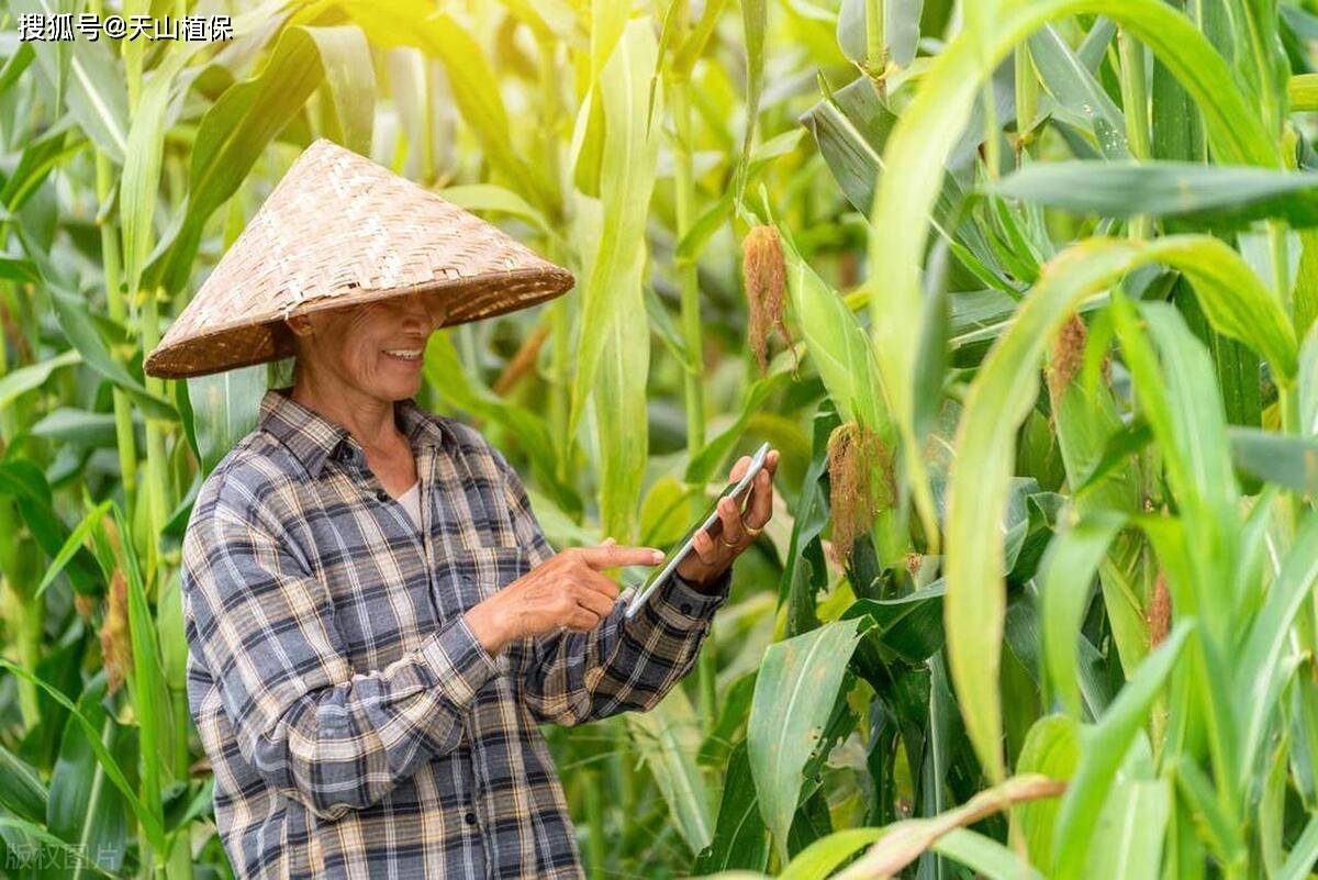 原创新型职业农民的特征是什么