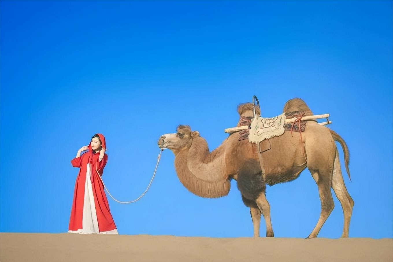 甘肃旅游五天旅游攻略敦煌五日游大概多少钱