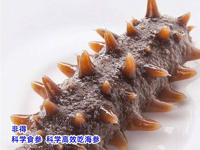 仙海岛海参牡蛎粉图片