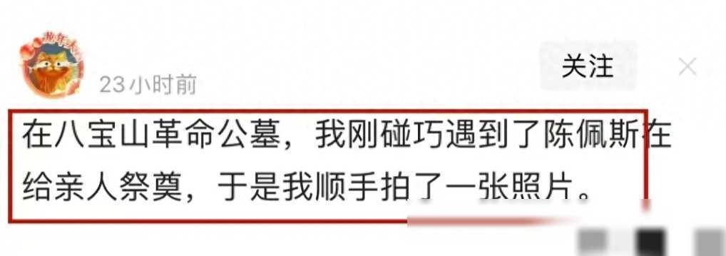 原创陈大愚携子扫墓遭路人拍照打扰反应体现修养被赞