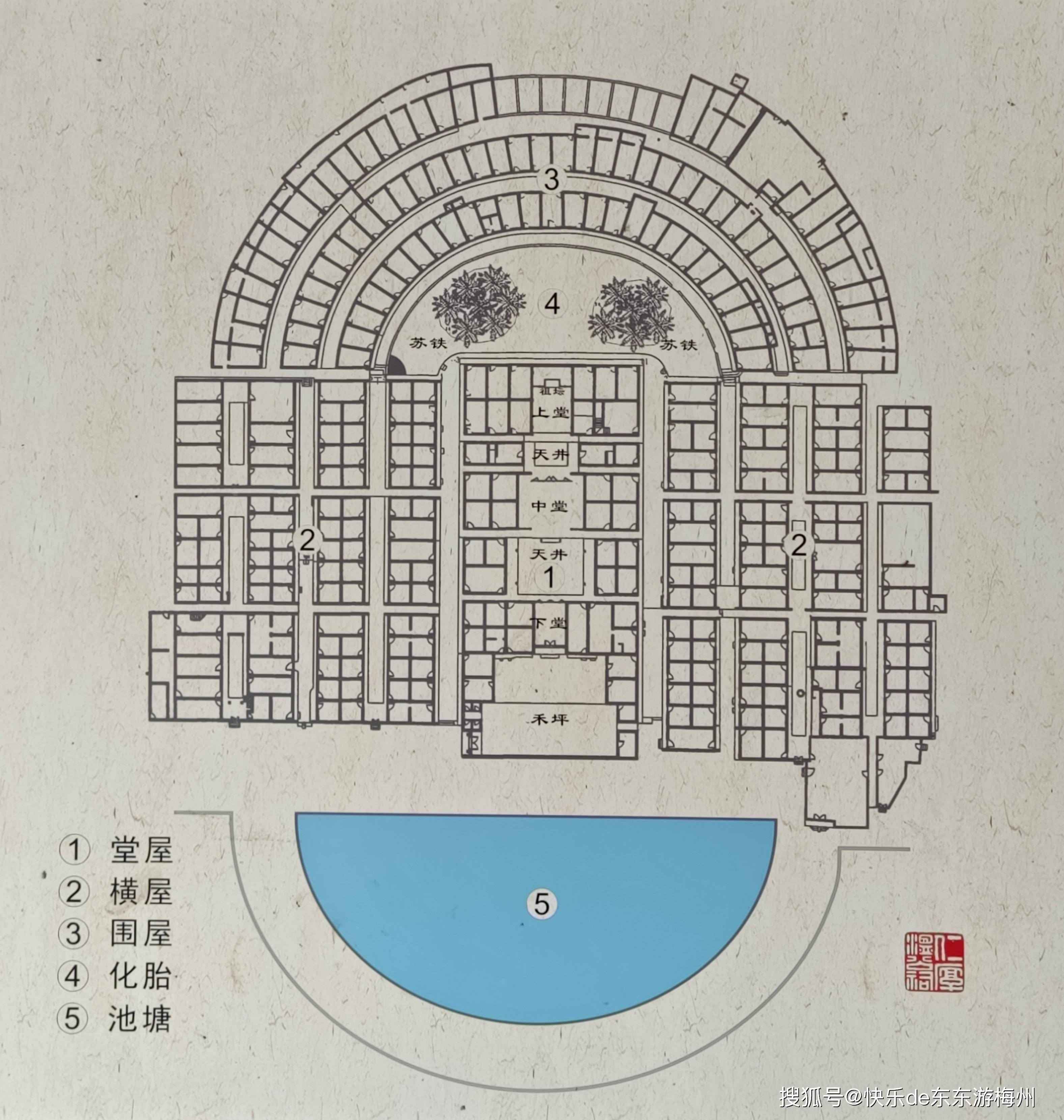 梅县围龙屋内发现2株480多岁苏铁,每株100多平方米,可能全国第一