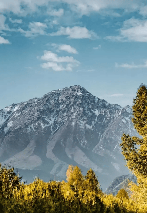 482_696竖版 竖屏